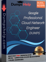 Real Google Professional Cloud Network Engineer Exam Dumps