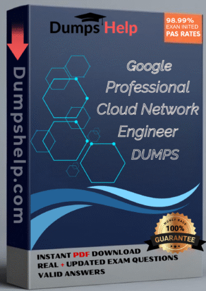Real Google Professional Cloud Network Engineer Exam Dumps